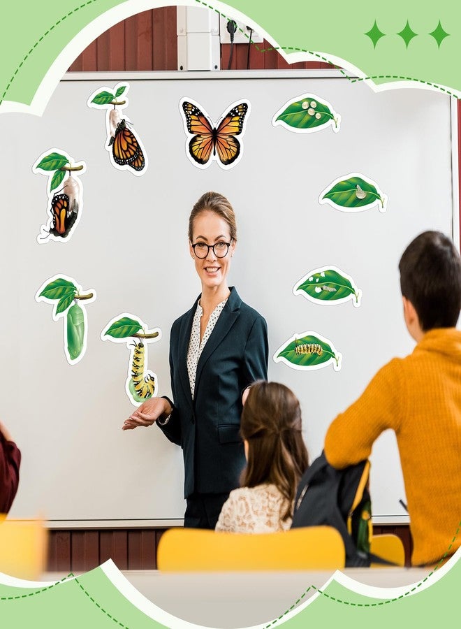 Relaxweex 9 Pcs Magnetic Butterfly Life Cycle Toys for Kid Caterpillar to Monarch Butterfly Growth Cycle Toy Insect Figures for Kids Education Preschool Classroom Insect Themed Teaching Tools Supplies - Image 4